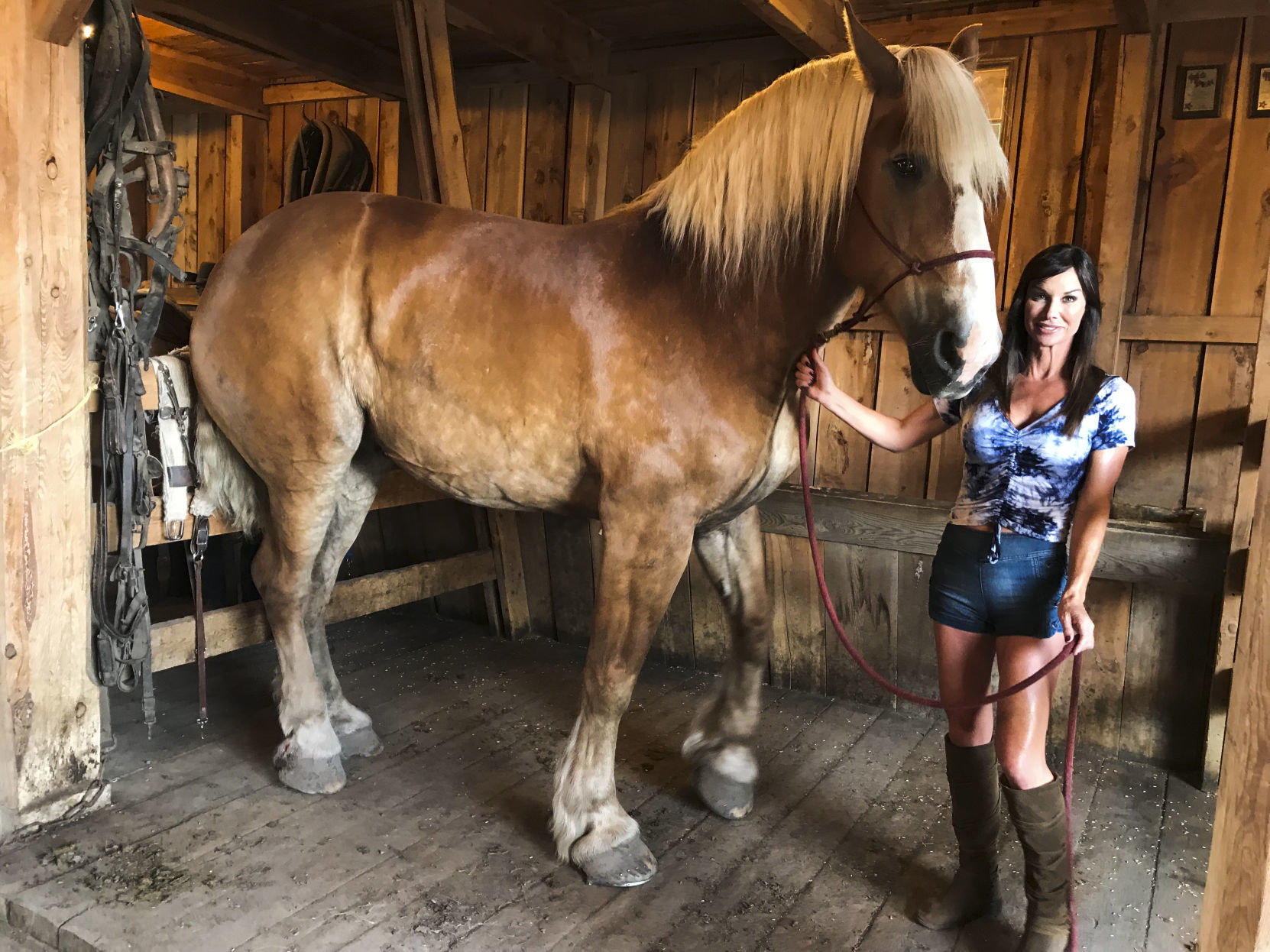 Debbe Dunning's Dude Ranch Round-up